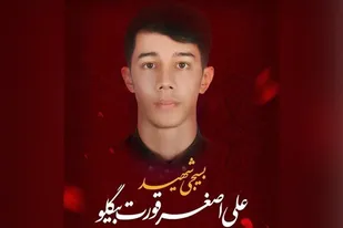 برادرم دوست داشت راه شهید حججی را ادامه دهد