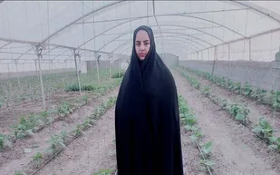 از روان&zwnj;شناسی تا گلخانه؛ روایت موفقیت بانوی کارآفرین هامونی