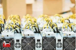 محکومیت قاچاقچی ماینر در تعزیرات حکومتی