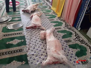 ذبح ۱۵راس گوسفند و توزیع400 بسته گوشت گرم