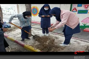 مراسم کاشت نهال به یاد شهدای دانش آموز در سرخه برگزار شد