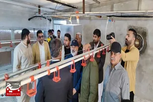 سیب و سوران بزودی با همت بخش خصوصی ، قطب تولید گوشت مرغ در سیستان و بلوچستان میشود