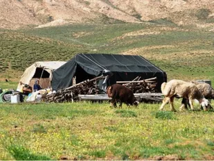 یک هزار و ۶۷۰ خانوار عشایر مهمان در ایلام مستقر شد