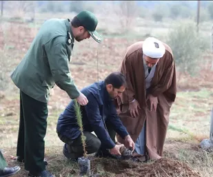 کاشت درخت توسط  سپاه حضرت ابوالفضل(ع)لرستان به روایت تصویر