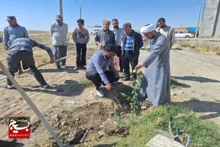 پویش نهالکاری به مناسبت روز روستا و عشایر در روستای عبدالمومن کبودراهنگ