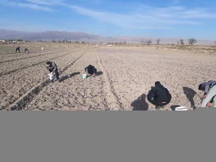 برگزاری اردوی جهادی در شهرستان فاروج