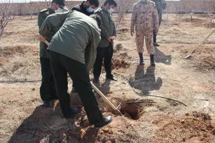 کاشت نهال در محوطه سپاه ناحیه ابهر