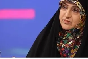 قانون هوای پاک نیازمند بودجه است/ قانون هوای پاک نیازمند متولی واحد است