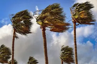 پیش بینی وزش باد نسبتا شدید در برخی مناطق خوزستان