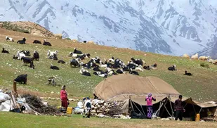 مشکل ساز شدن ثبت آمار نادرست عشایر خاتم