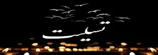 دامان مطهر مادران با تربیت شهدا ضامن بقای نظام هستند