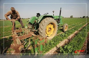 بستر توسعه بخش کشاورزی استان اردبیل تسهیل می&zwnj;شود