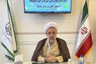 خبرنگاران می&zwnj;توانند در ترویج سنت حسنه وقف نقش آفرین باشند/فعالیت ۲۶۳ هزار مبلغ در بقاع متبرکه گلستان