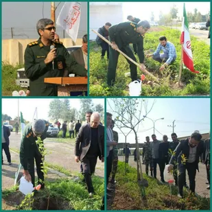 کاشت تعداد ۱۰۰۰ اصله نهال در روز درختکاری در شوش