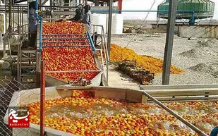 آذربایجان غربی، قطب صنایع تبدیلی و غذایی کشور
