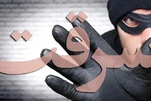 دستگیری دو سارق و کشف ۱۱ فقره سرقت در ملایر