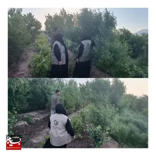 اردوی جهادی تخصصی کشاورزی در بیارجمند+ عکس