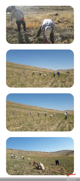 اردوی جهادی یک روزه به همت بسیجیان پایگاه مقاومت بسیج روستای بیدواز