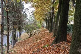 خوان رحمت الهی باریدن گرفت/ باوجود بارش ها هوای کردستان رو به گرمی می رود