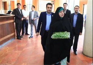 "سبزی&zwnj;های سیاسی" آفت محیط زیست!
