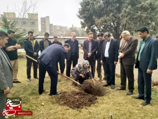 کاشت نهال در فرمانداری نیشابور به یاد شهدا