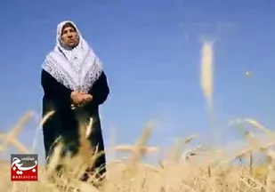 معلمی بازنشسته که گندم می کارد