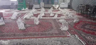 تهیه و توزیع ۳۰ بسته معیشتی به همت بسیجیان در شاهرود