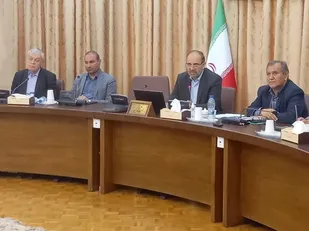 پیشرفت کار طرح نهضت ملی مسکن موجب افزایش انگیزه متقاضیان شده است