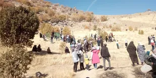 برگزاری چهارمین جشنواره بلوط روستای &laquo;سرسختی&zwnj;علیا&raquo; شازند