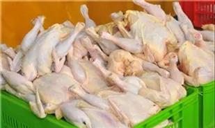 قیمت مرغ به 6 هزار و 900 تومان رسید