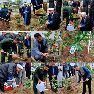 غرس ۴۰۰۰ اصله نهال در سطح شهرستان محمودآباد
