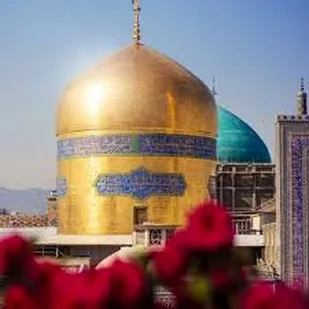 " شاهانه خندید "