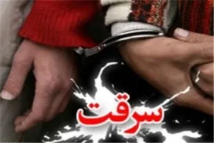 کشف ۱۵ فقره سرقت در ملایر
