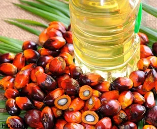 تناقض گویی مسئولان درباره مضرات پالم بازی سیاسی است