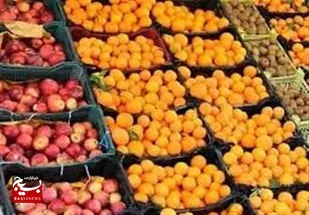 در ذخیره&zwnj;سازی میوه شب عید دنبال سود و منفعت نیستیم