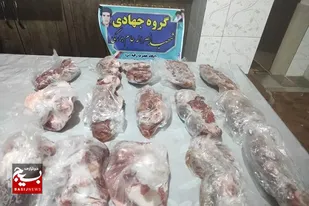 ذبح یک راس گوسفند در طرح &laquo;نذر قربانی&raquo; در فراشبند