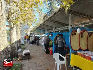 برپایی نمایشگاه و بازارچه اقتصاد مقاومتی ویژه شب یلدا در ساری