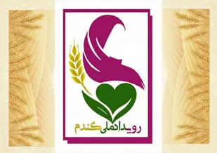 رویداد ملی گندم