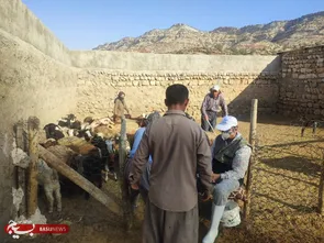 واکسیناسیون بیش از ۵ هزار رأس دام