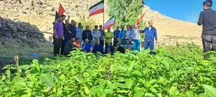 کوهپیمایی جمعی از رزمندگان پیشکسوت  شهرستان ایذه به مناسبت هفته دفاع مقدس