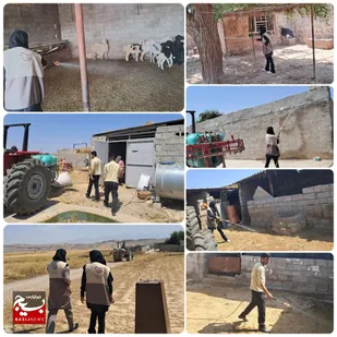 سم پاشی جایگاه های دام در مناطق روستایی لالی