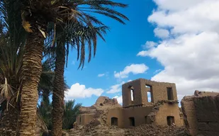 مانور حفاظت از عرصه&zwnj;های منابع طبیعی در شاهرود