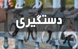 اجرای طرح مقابله با سارقان و مالخران اموال سرقتی و صنوف متخلف در خراسان جنوبی
