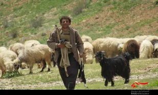 آغاز فصل کوچ عشایر به مناطق ییلاقی شهرستان فریدونشهر