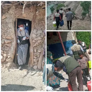 واکسیناسیون 4 هزار راس دام سبک در سردشت