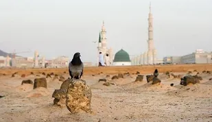 مراسم عزاداری تخریب حرم ائمه بقیع در گلزار شهدای بهشت زهرا (س)