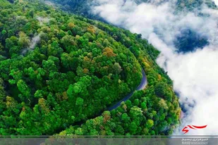 با تمام توان پل معلق را ادامه خواهم داد