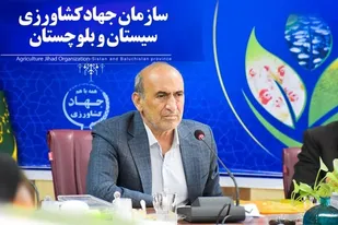 مبادلات مرزی محصولات کشاورزی از سیستان و بلوچستان به مرز یک میلیون و ۸۰۰ هزار تن رسید.