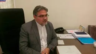عیب بزرگ هدفمندی یارانه نداشتن آمار دقیق است