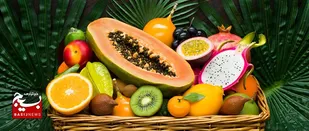 تولید میوه&zwnj;های استوایی در ارومیه توسط یک کارآفرین موفق